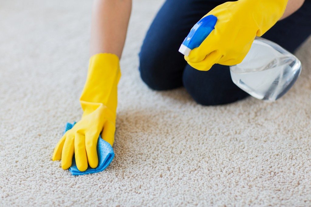 cleaner spraying soap to carpet